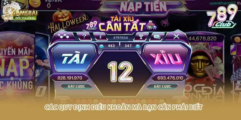 Các quy định điều khoản mà bạn cần phải biết